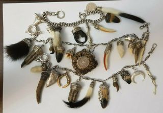 Old Charivari Taxidermy 3 Chain 257 Grams Animal Trophy Amulets Silver 835 925