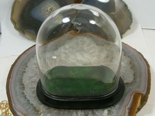 Antique Hand Blown Glass Dome Oval Glass Display Pocket Watch Clock Base 4 3/4 "