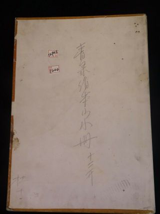 ANTIQUE CHINESE PAINTINGS IN ALBUM BOOK FINE ASIAN PAINTING ' S w/ CHOP MARK 3