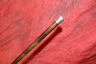 Fine Antique Sterling Silver Top Tapered Reed Cane W/original Iron Tip