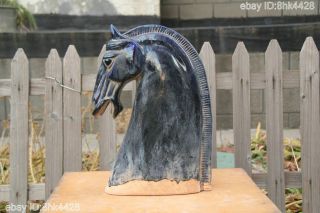 44cm Collectable Tang Sancai Glazed Pottery Black Fengshui Wild Horse Head