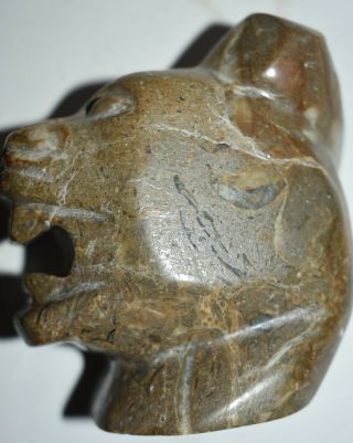 Orig $1099 Wow Pre Columbian Mayan Jade Jaquar Head 4in Prov