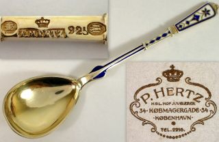 Antique Peter Hertz Denmark Blue & White Enamel Sterling Spoon Tongs Ladle Set 9