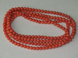 42,  5 Gr.  Natural Red Salmon Coral Necklace Rare Ca.  1900 Best Quality