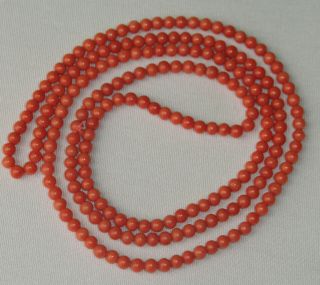 42,  5 gr.  natural red salmon coral necklace rare ca.  1900 best quality 5