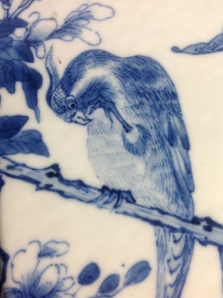 RARE Antique Chinese round blue & white porcelain plaque of bird MARK 3