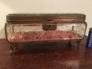 Antique French Acid Etched Glass And Gilt Metal Jewelry Box Table Vitrine 19th C 5