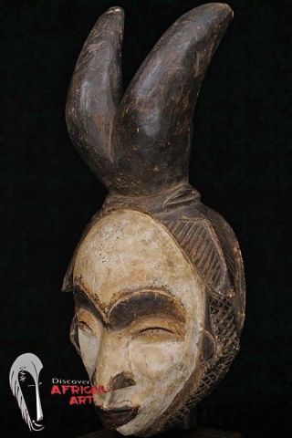 Hand Carved Punu Lumbo Mask W/ Horns 17.  5 " On Custom Mount - Gabon - African Art