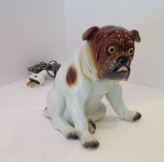 German Porcelain Figural Bulldog Lamp.  Antique.  Glass Eyes.  6 1/4 " High