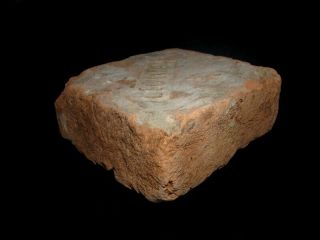 EXTREMELY RARE,  WELL PRESERVED ROMAN LEGIO I ITALICA STAMPED BRICK, 3