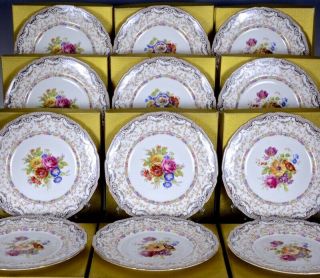 Stunning Set 12 Antique Royal Doulton Flower Enamel Dinner Plates In Orig Boxes