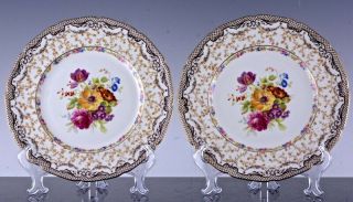 STUNNING SET 12 ANTIQUE ROYAL DOULTON FLOWER ENAMEL DINNER PLATES in ORIG BOXES 7