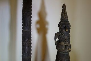 INSTANT PAPUA GUINEA (PNG) SEPIK COLLECTION…WITH STANDS 3