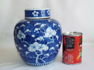 Large 8 " Antique Chinese Porcelain Prunus Ginger Jar & Cover,  4 Character Mark.