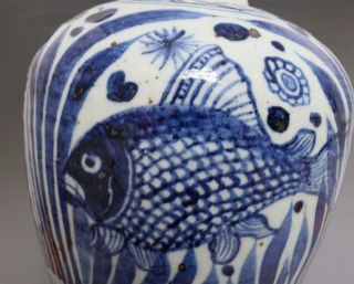 VERY RARE CHINESE BLUE AND WHITE PORCELAIN FISH VASE (E29) 12