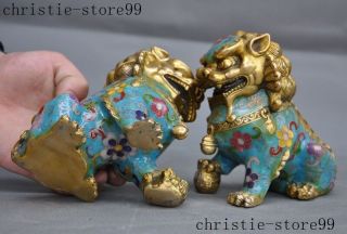 Old Chinese bronze Cloisonne Feng shui Auspicious Lion Foo dog Beast Statue Pair 12