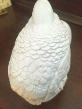 RARE MEISSEN PIGEON P0RCELAIN FIGURINE WEISS 1900s SNOW WHITE COLOR 3