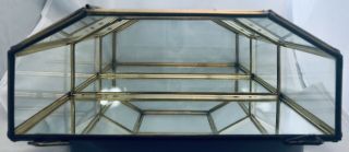 Vintage Glass & Brass Tabletop Or Hanging Curio Display Case Mirrored Back 5