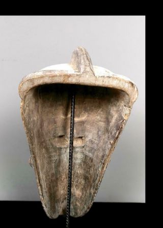 Tribal Large Fang Ngil Mask - Gabon 4