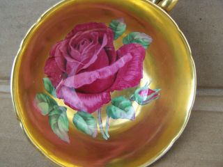 Vintage Paragon Dark Pink Cabbage Rose Footed Cup & Saucer Gold Background 6