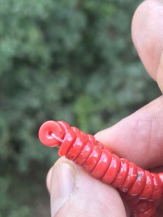 Old Natural Undyed Blood Red Coral Bracelet 6