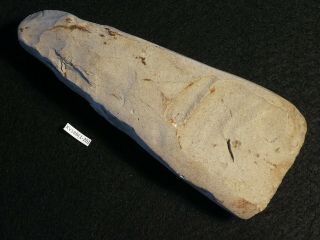 4600y.  O: Terrific Ax Adze 142mms Danish Stone Age Neolithic Flint Single Grave C