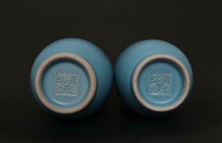 Pair Perfect Antique Chinese Porcelain Blue Glaze Vase Yongzheng Mark - crane 3