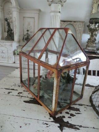 Omg Old Vintage Garden Terrarium Planter Metal Glass Arched Removable Roof