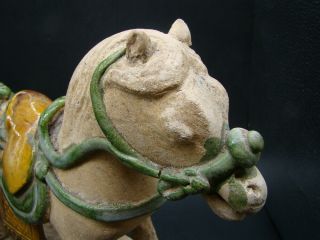 Chinese Ming Dynasty (1368 - 1644) green and yellow glazed horse u5641 6