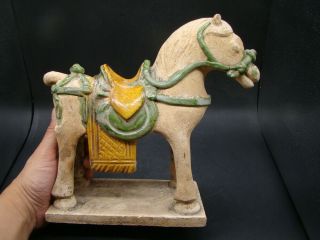 Chinese Ming Dynasty (1368 - 1644) green and yellow glazed horse u5641 7