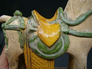 Chinese Ming Dynasty (1368 - 1644) green and yellow glazed horse u5641 8