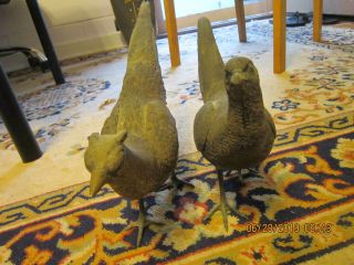 Large Antique 800 Silver Pheasants Pair Birds German Figural