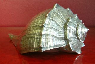MARIO BUCCELLATI STERLING SILVER WRAPPED LARGE WHELK SEASHELL 2