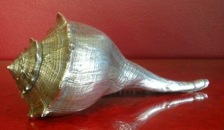MARIO BUCCELLATI STERLING SILVER WRAPPED LARGE WHELK SEASHELL 3