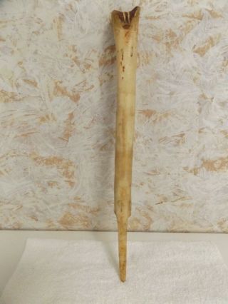 Papua Guinea Dagger Carved Ritual Ceremonial Cassowary Bone