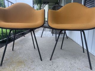 Charles Eames Herman Miller Gold Tweed On Black Fiberglass Arm Chair