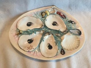 Antique Union Porcelain Upw Clam Shell Shape Oyster Plate 2