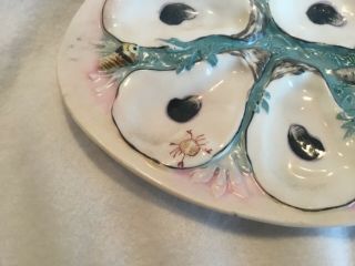 Antique Union Porcelain UPW Clam Shell Shape Oyster Plate 2 4