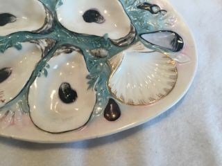Antique Union Porcelain UPW Clam Shell Shape Oyster Plate 2 5