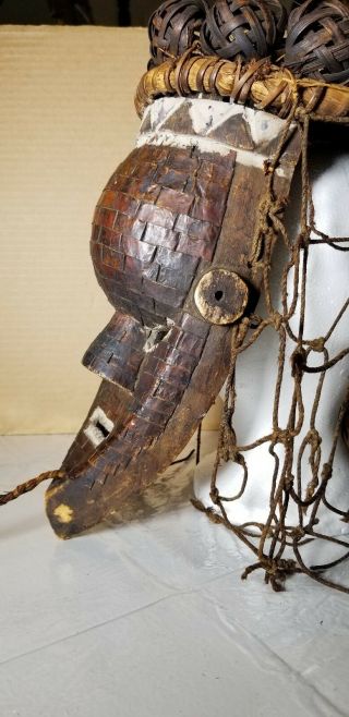 SALAMPASU TRIBAL MASK FROM THE DEMOCRATIC REPUBLIC OF CONGO 3