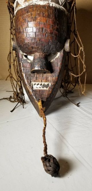 SALAMPASU TRIBAL MASK FROM THE DEMOCRATIC REPUBLIC OF CONGO 6