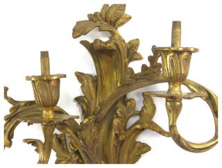 Antique 19th century French Rococo gilt bronze ormolu two sconce wall light 3