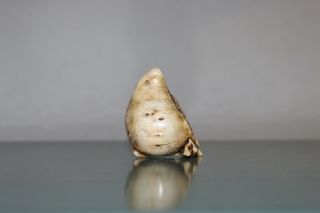 Antique Japanese Netsuke of Momotaro sitting in a peach. 5