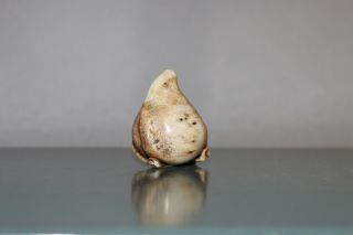 Antique Japanese Netsuke of Momotaro sitting in a peach. 6