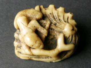 Antique Japanese Edo Period Netsuke Stag Antler Carving Figurine