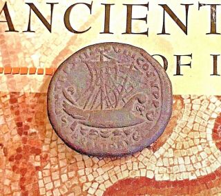 Ancient Greece Rome Zeus Coin Marc Anthony Cleopatra Caesar Nero Apollo Bronze D