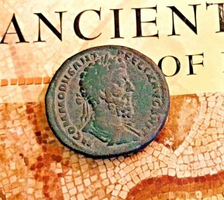 Ancient Greece Rome Zeus Coin Marc Anthony Cleopatra Caesar Nero Apollo Bronze D 2