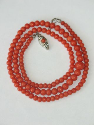 Natural Red Coral Necklace With 8 Ct.  Gold Clasp Rare Ca.  1900