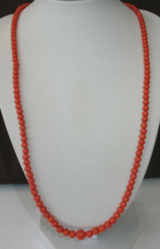 Natural red Coral necklace with 8 ct.  GOLD CLASP rare ca.  1900 2