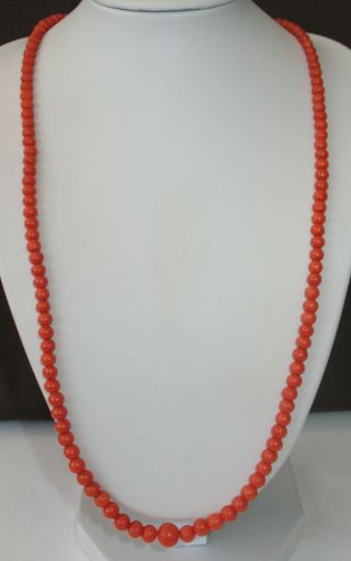 Natural red Coral necklace with 8 ct.  GOLD CLASP rare ca.  1900 3
